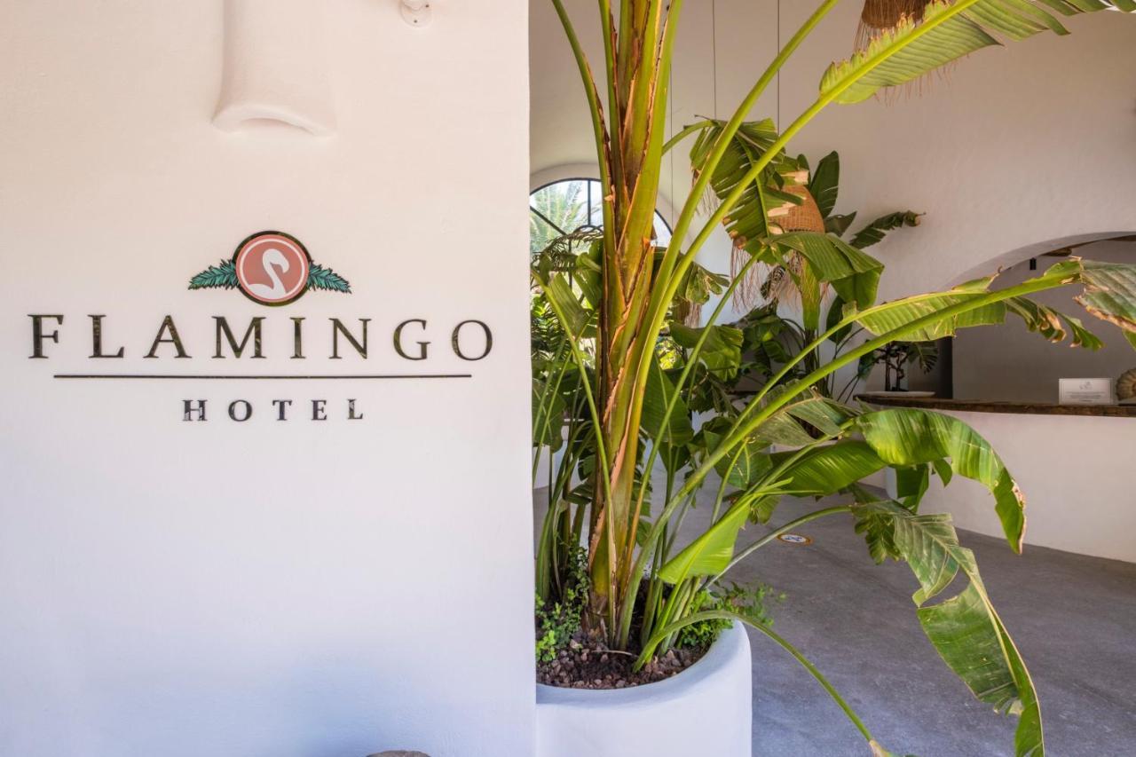 Flamingo Hotel & Spa - Pet Friendly Oludeniz Luaran gambar